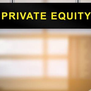 The Role of Private Equity in Business Transitions